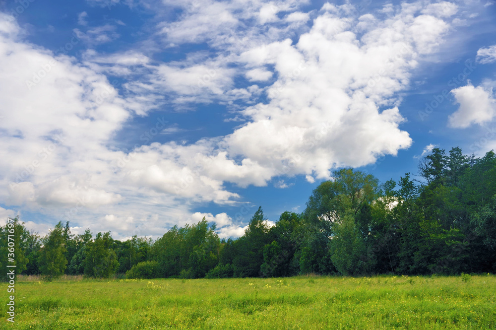 Landscape of a green field with trees Landscape of a green field with trees