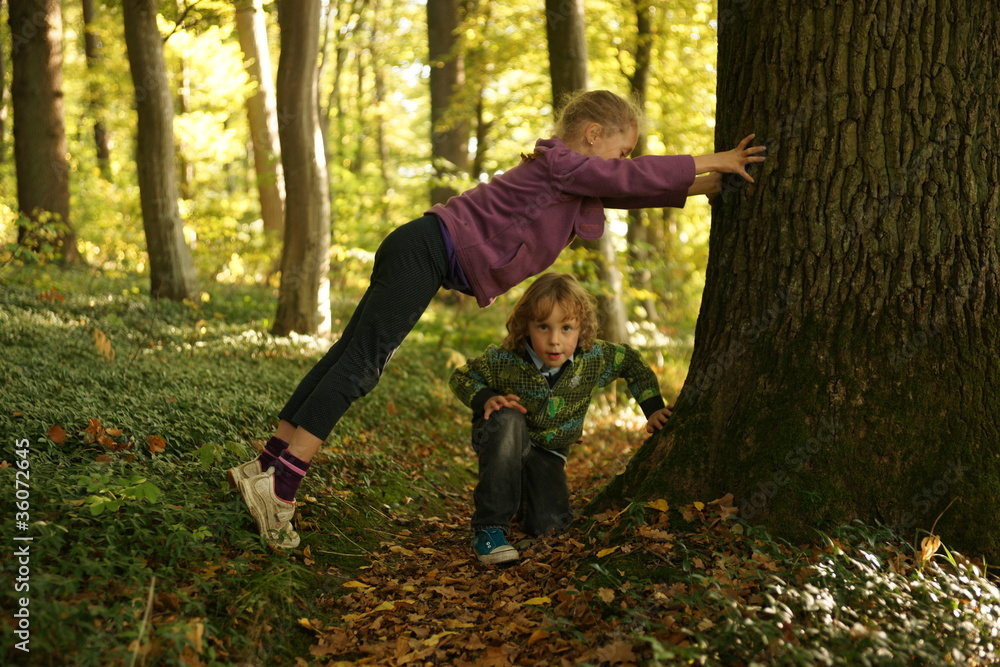 Kinder spielen im Wald Stock-Foto | Adobe Stock