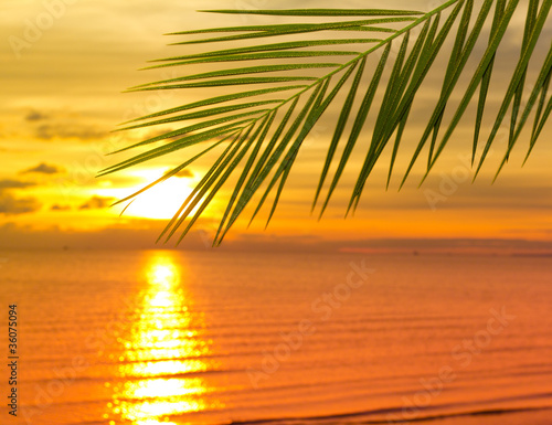 Fototapeta Naklejka Na Ścianę i Meble -  Sunset under Palms