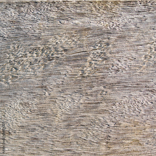 Wood texture II