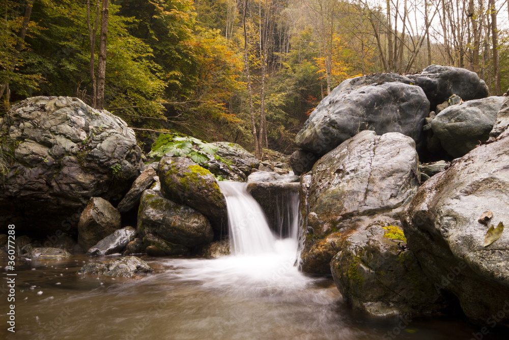 Obraz premium il fiume