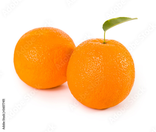 orange fruits with green leaves