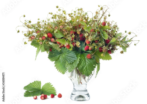 Bouquet from  wild  strawberry