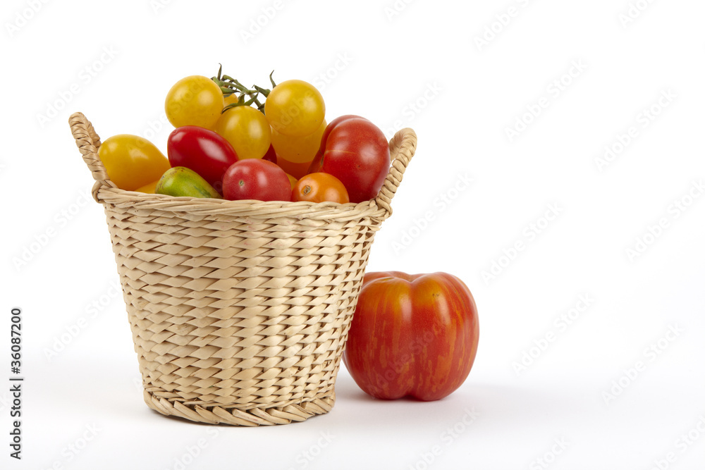 Korb frischer Bio-Tomaten / Basket of fresh organic tomatoes