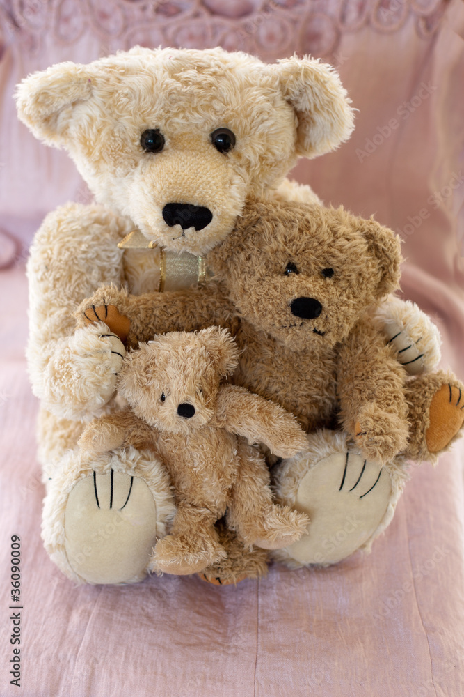 Obraz premium Teddy bears isolated against pink background