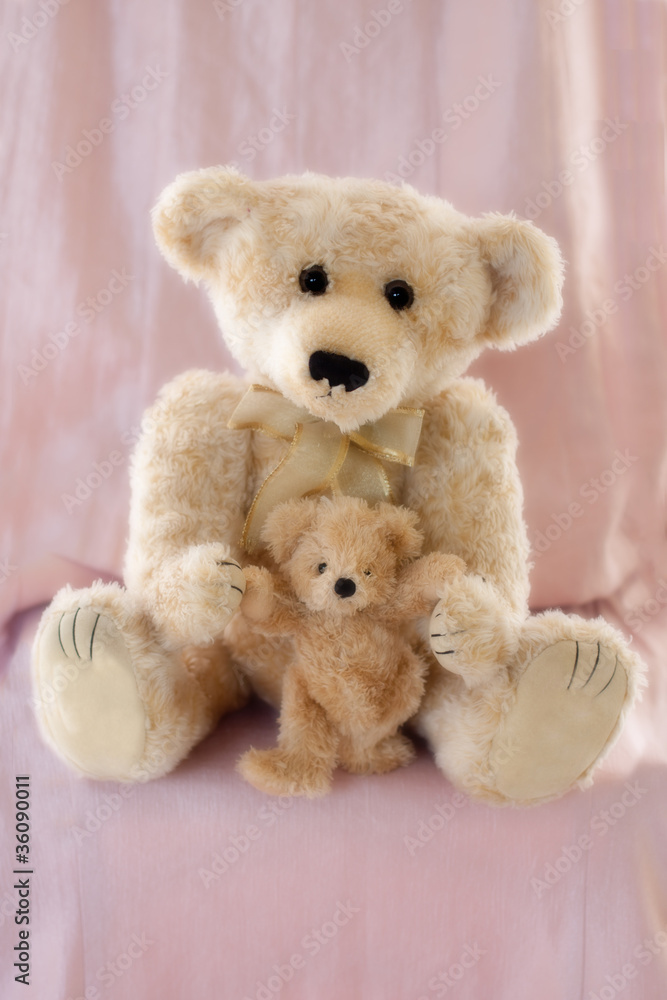 Teddy bears isolated against pink background