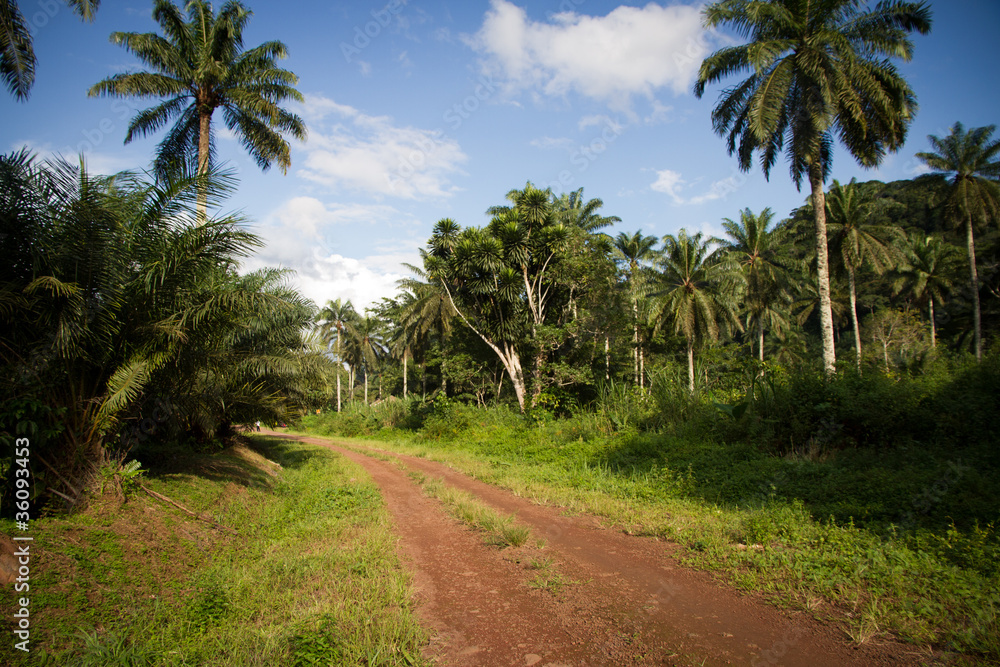 camino de tierra