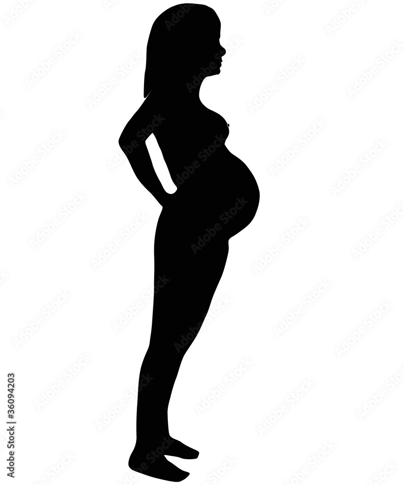 The Silhouette of the pregnant woman.