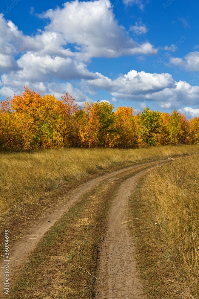 ground road in a autumn steppe ground road in a autumn steppe
