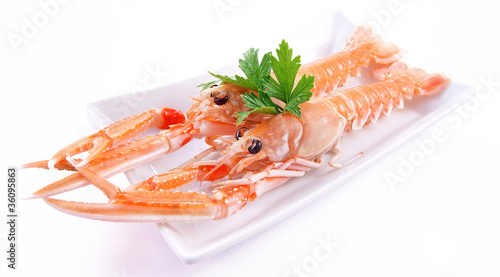 Scampi