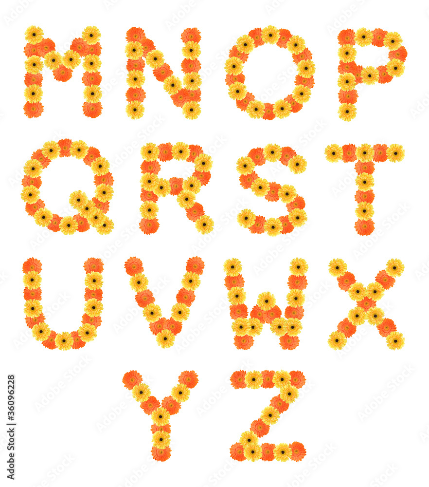 Set of alphabets created by daisy flowers. Set of alphabets created by daisy flowers.