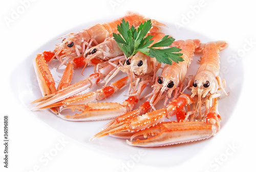 Scampi