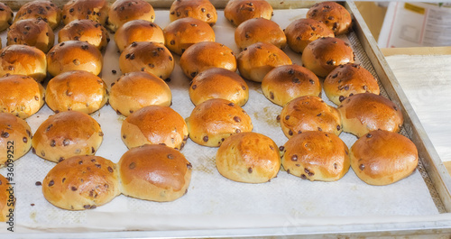 Panini con gocce di cioccolato