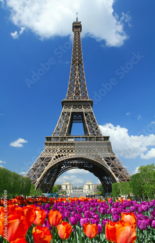 Tour Eiffel, parigi #36099649