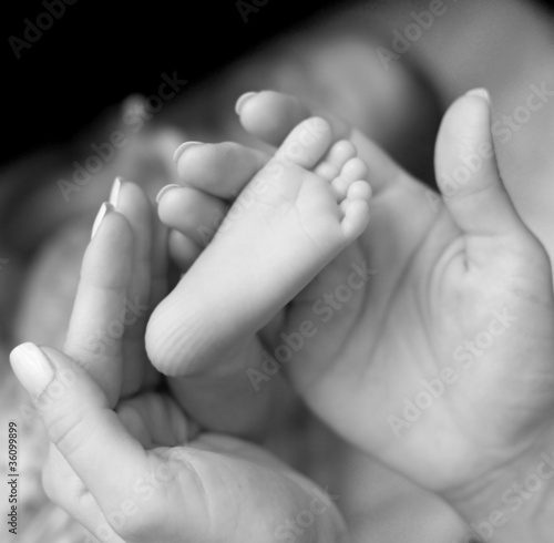Baby`s feet in mommy`s hands