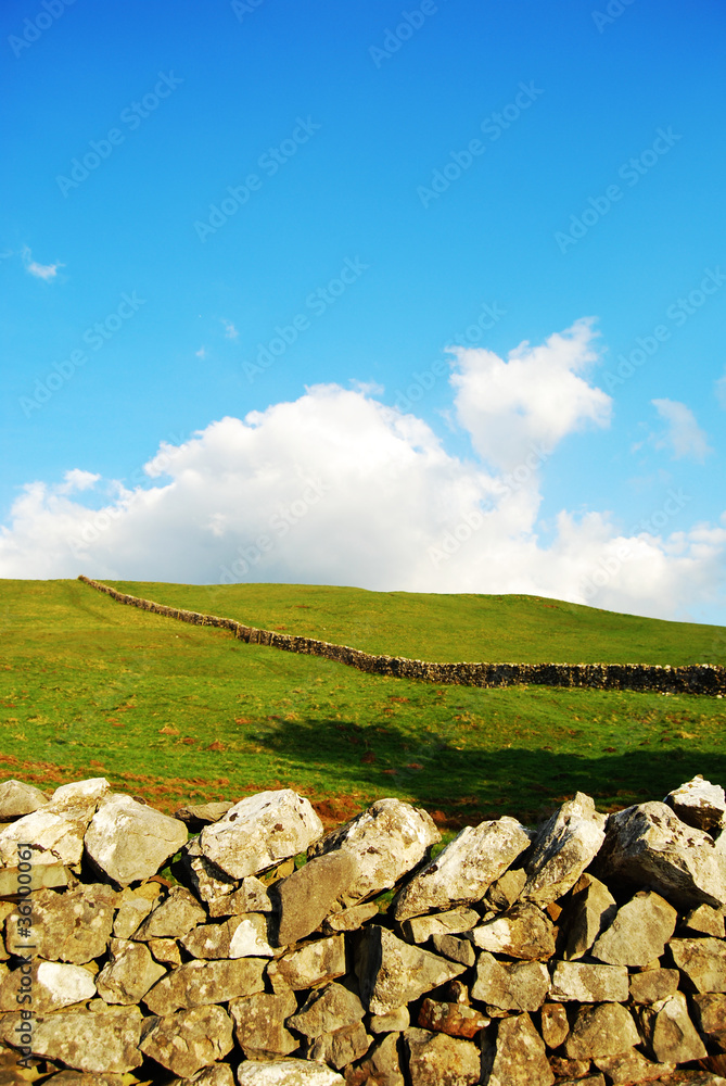 Landscape in Yorkshire Dales (UK)