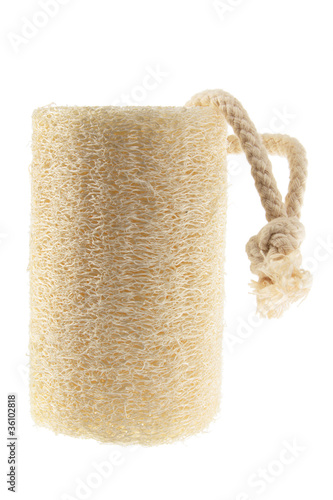 Obraz na płótnie Loofah