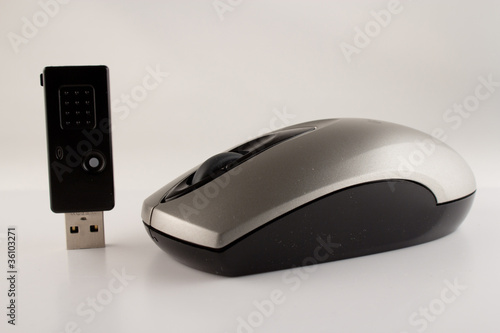 Obraz na płótnie Wireless mouse and usb receiver