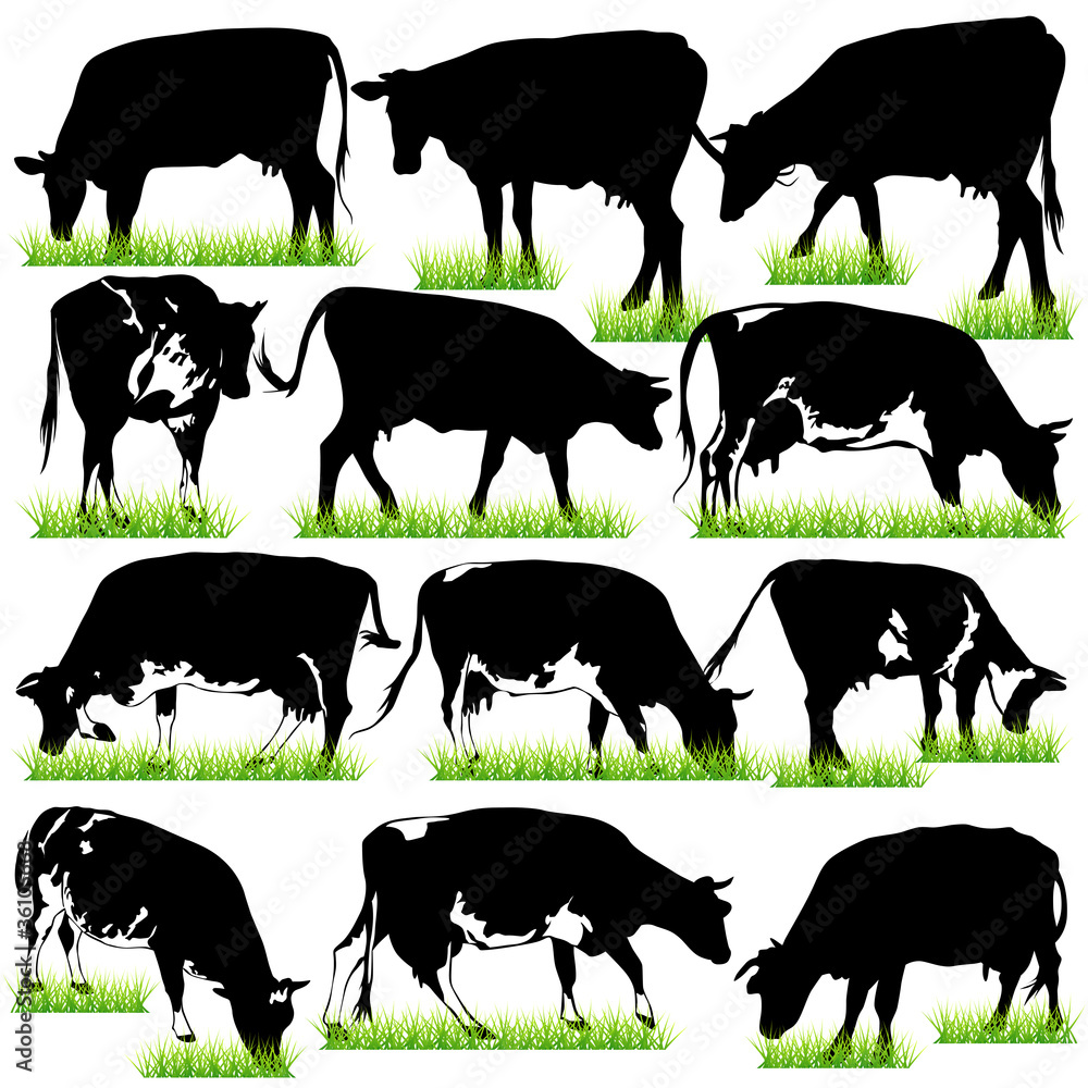 Detailed Cows Silhouettes Set