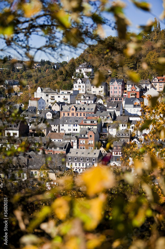 Blick durch Blätter auf Häuser in Idar-Oberstein photo