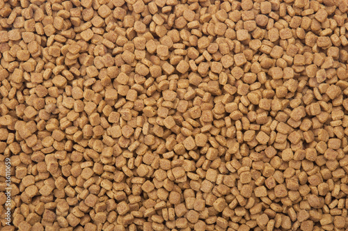 Dry pets food background