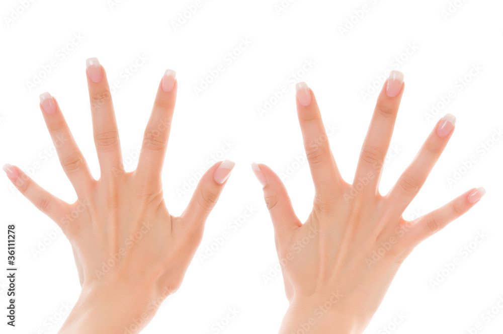 two women's hands with fingers spread two women's hands with fingers spread