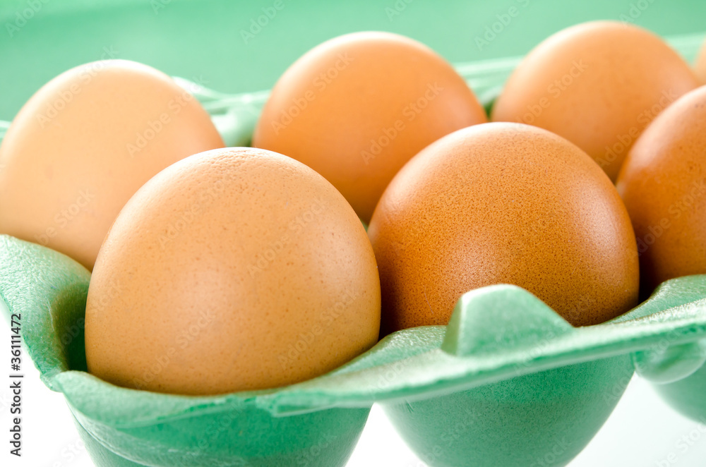chicken eggs chicken eggs