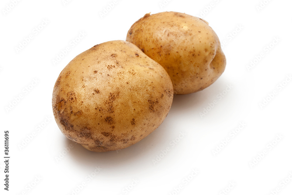 Potato isolated on the white background Potato isolated on the white background
