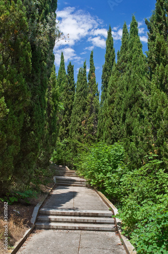 alley in an abandoned park