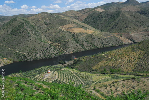 Valle del Douro photo