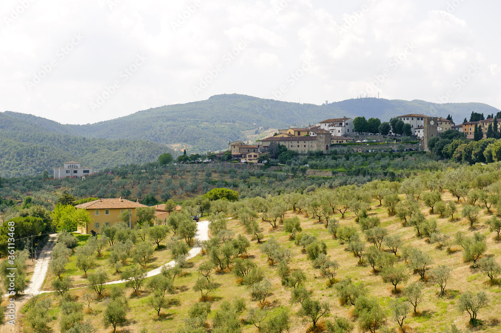 Hills in Tuscany near Artimino