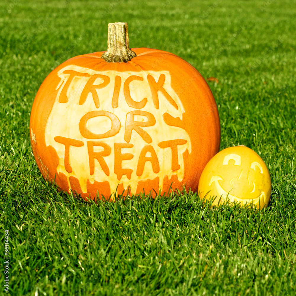 Fototapeta premium Halloween pumpkins