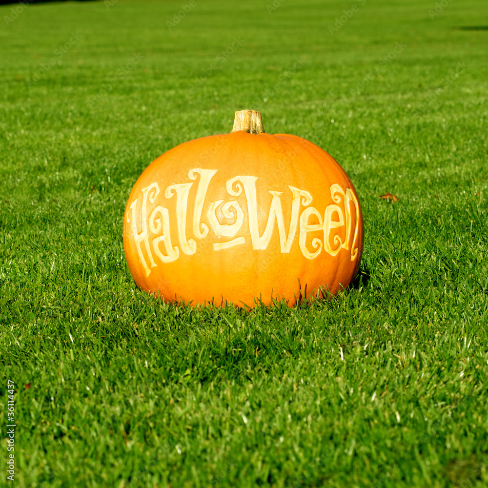Fototapeta premium Halloween pumpkin