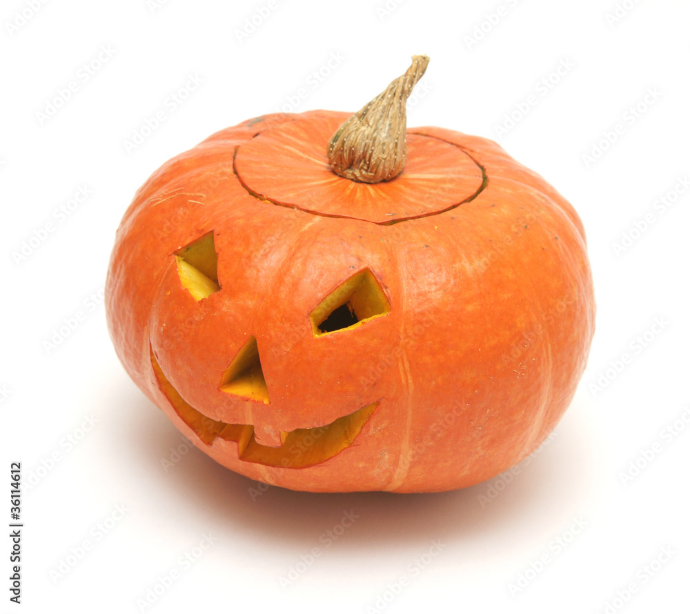 pumpkin pumpkin