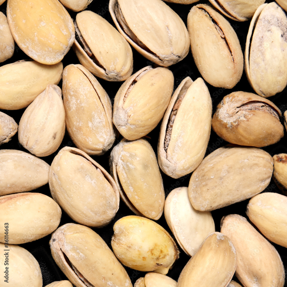 Obraz premium pistachio