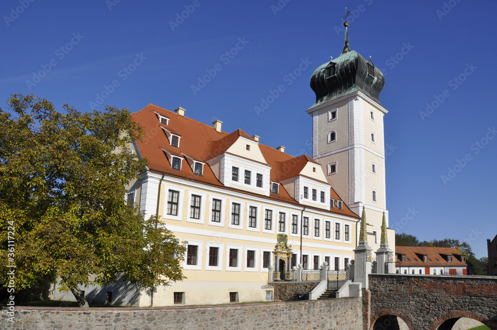 Obraz premium Delitzsch Barockschloss
