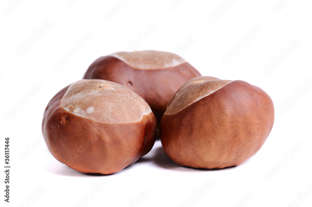 Three chestnuts Three chestnuts