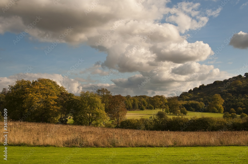 Obraz premium Countryside landscape