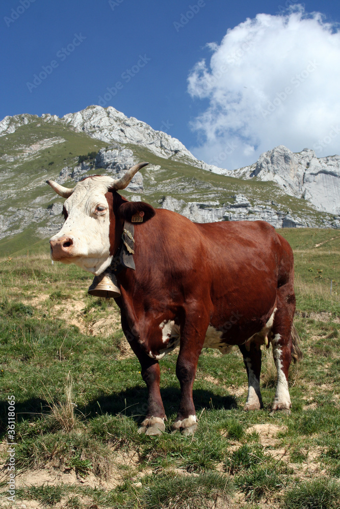 L'Abondance