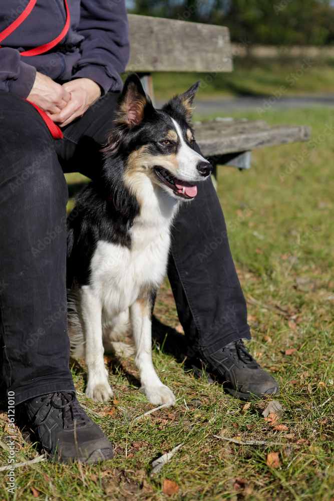 Frau mit Hund Frau mit Hund
