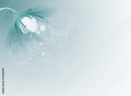 Abstract winter flower / Snow background
