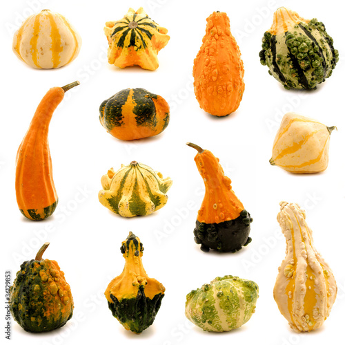 Cuadro en lienzo Thirteen unique and colorful autumn gourds