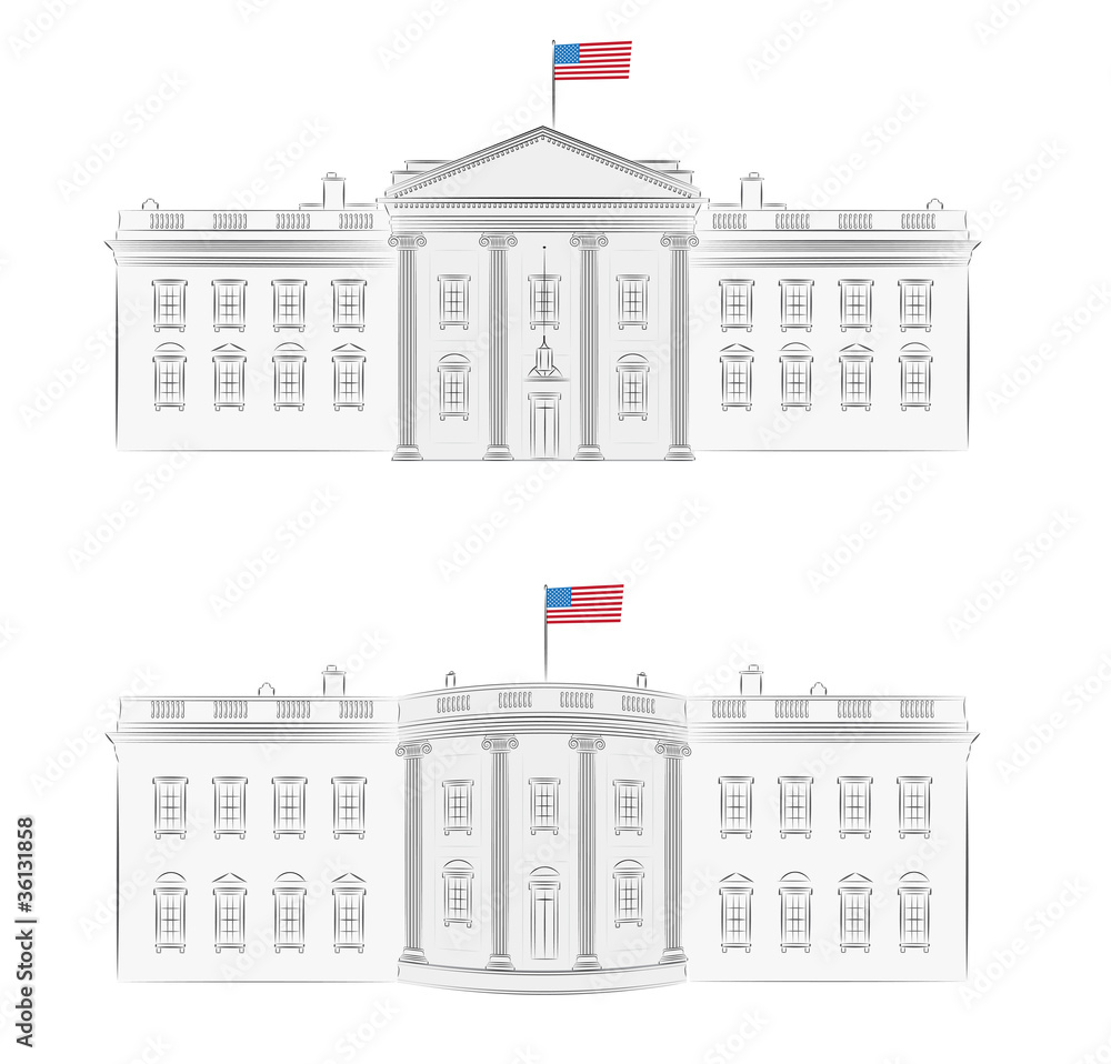 White House detailed vector illustration
