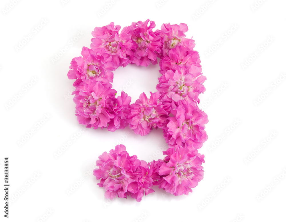 The number nine from flowers