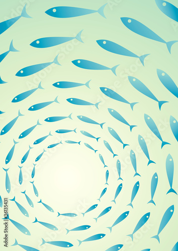 Flock of fish in the sea