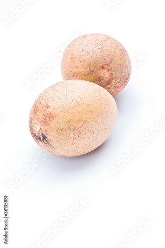 sapodilla fruit