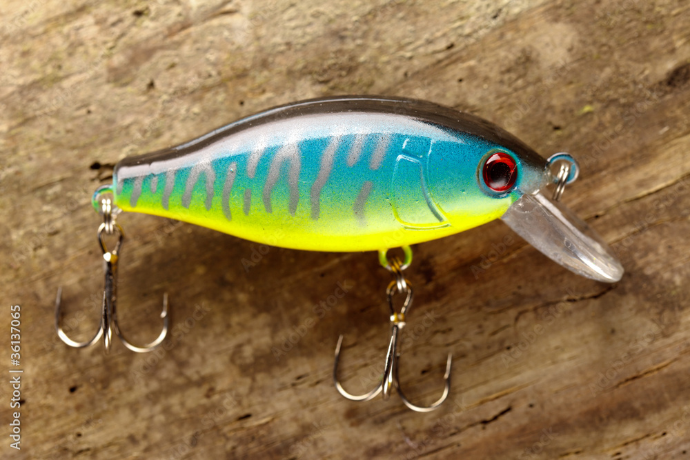 fishing lure fishing lure