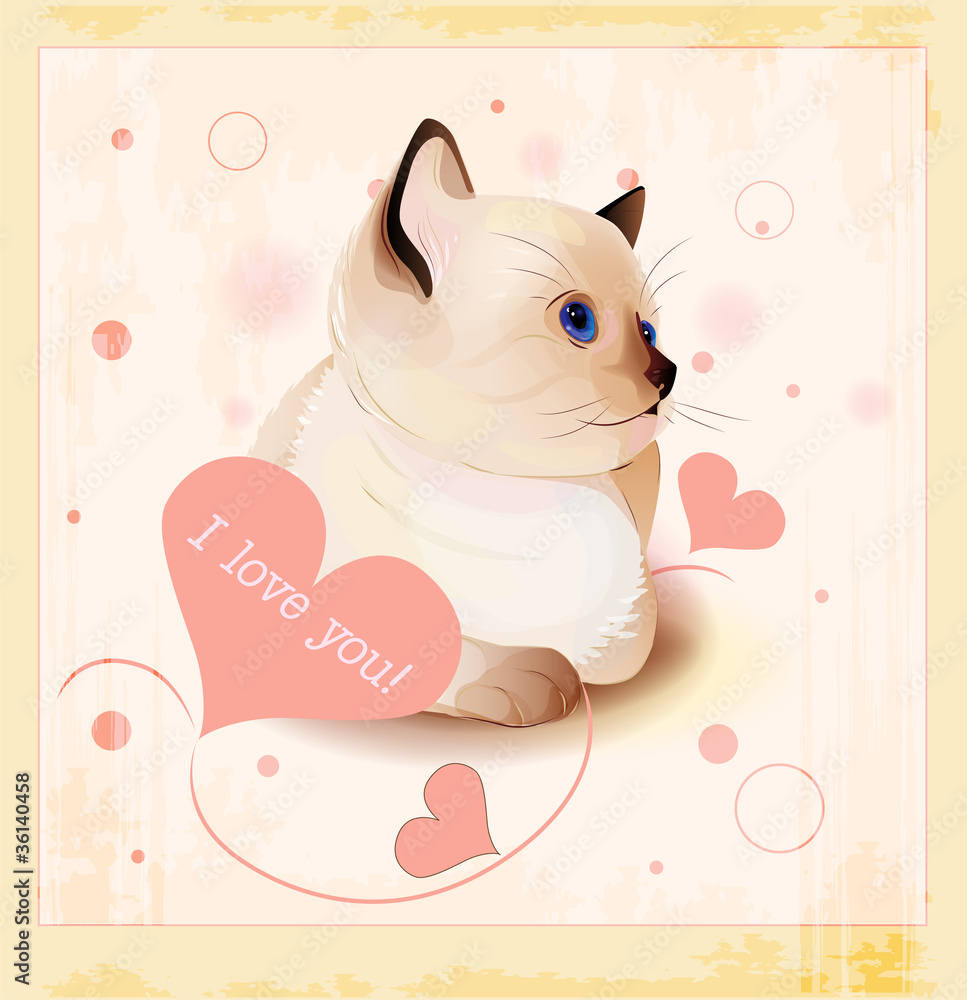 Valentines day greeting card with little siamese kitten and hear