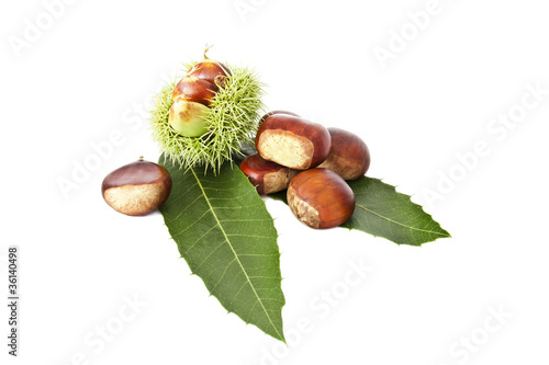 nuts, fruits of autumn