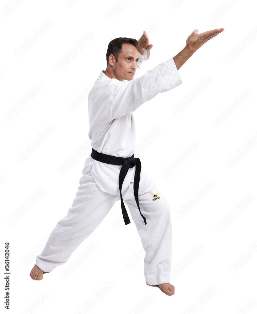 Taekwondo, Poose, Handkantenschlag, weiß Taekwondo, Poose, Handkantenschlag, weiß